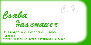 csaba hasenauer business card